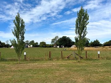 View of the site