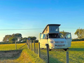 One of our friendly visitors enjoying the great sun sets.