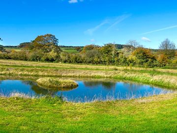 The pond