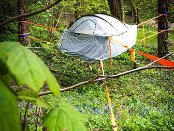 Treetop tent