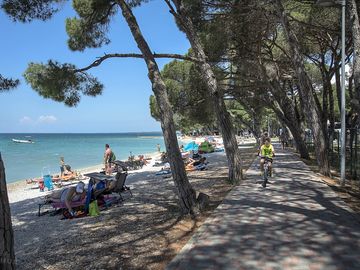 Beachfront, walking path