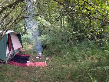 Off in a wild spot