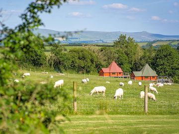 Lodges across the fields