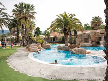 Palm trees by the pool