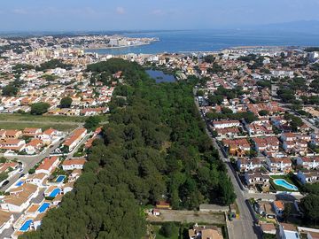 The site from above