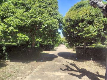 Shaded pitches