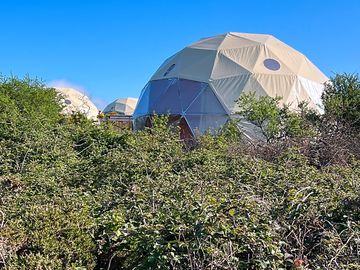 Domes