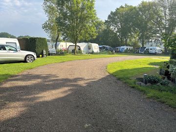 View of the site