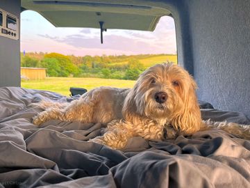 Dog friendly