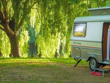 Peaceful pitches by the river