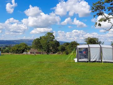 Visitor image of the site