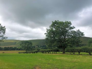 Brooding skies