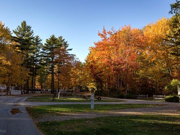 Rv sites with trees all around