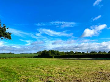 Blue skies over the site