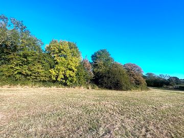 Pitches backed by trees