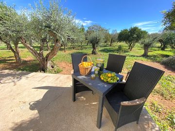 Pitch next to the olive groves