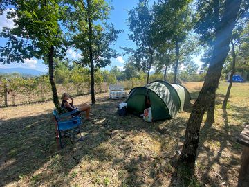 Pitches surrounded by nature