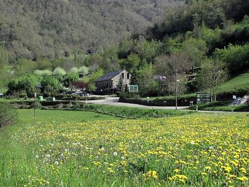 The site