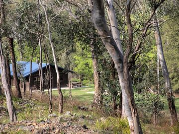 Woodland views