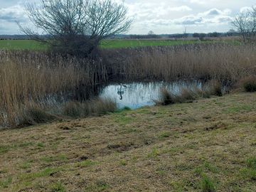 A friendly lodger at the otter channel