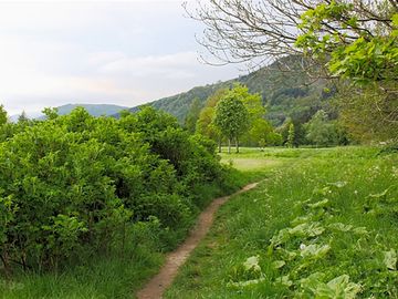 Riverside walk