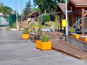 Entrance and reception