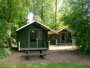 Cabins among the trees