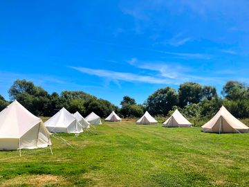 Glamping field