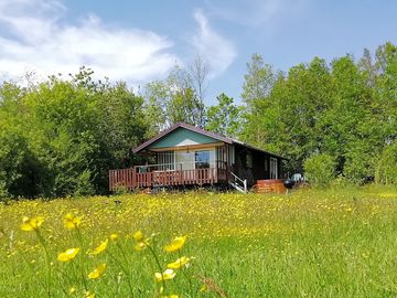 Beech Lodge with spring flowers