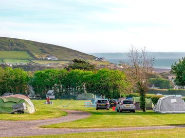 Grass pitches