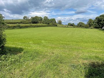View of the site