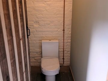 Flushing toilet