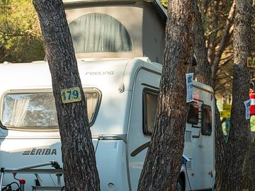 Pitch among the trees