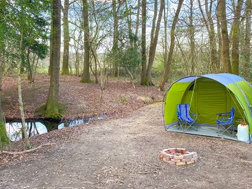 Secluded forest floor pitch, no other tents in sight