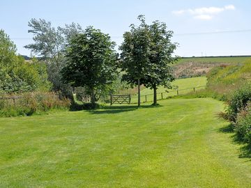 Park landscape. The gate leads through the trees to the ponds