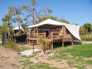 Safari tents