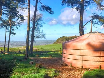 View from the yurt