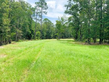 Grass parkland sheltered by the trees