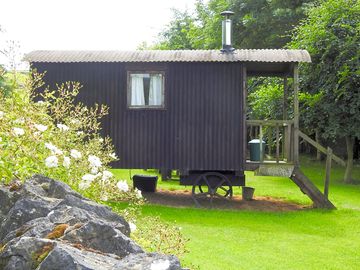 Shepherd's hut surrounded by greenery