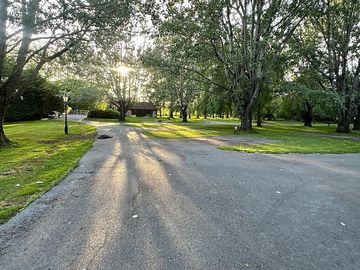Around the site