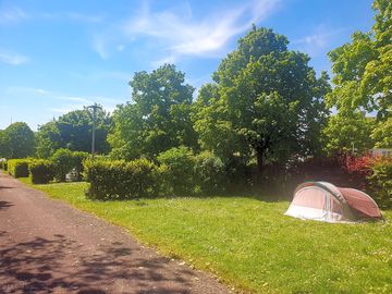 Pitches marked out by trees and hedges