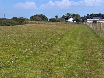 Grass pitches