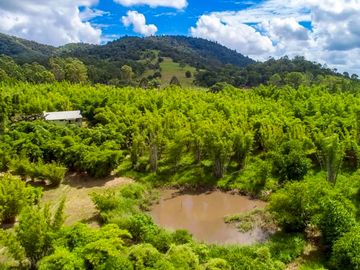 Views over the property