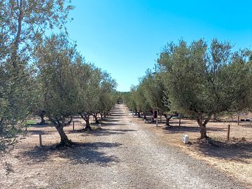 Camping Playamonte