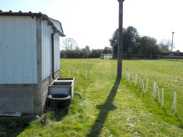 Path to the toilet