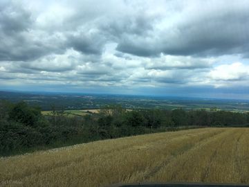 Views from the south downs way