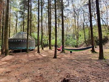 Camping in a yurt