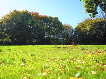 Non-electric grass pitches