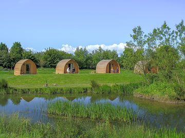 Pods next to the pond