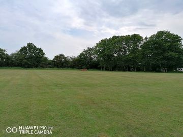 Lots of green space
